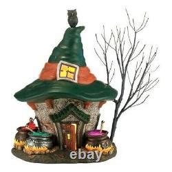 Dept 56 witch holliw